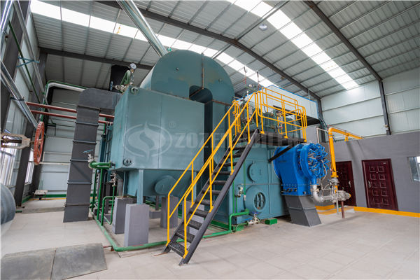 10噸燃?xì)忮仩t多少錢(qián)