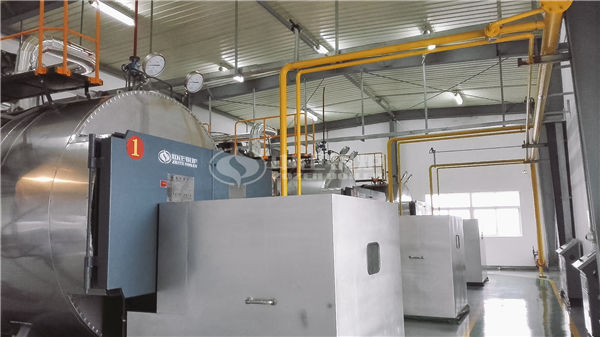 10蒸噸燃煤鍋爐改燃?xì)鉅t改造費用多少