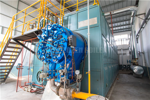 75t/h循環流化床鍋爐