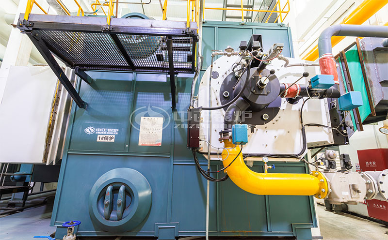 30t/h燃?xì)忮仩t供燃?xì)鈮毫蛻?hù)案例圖片