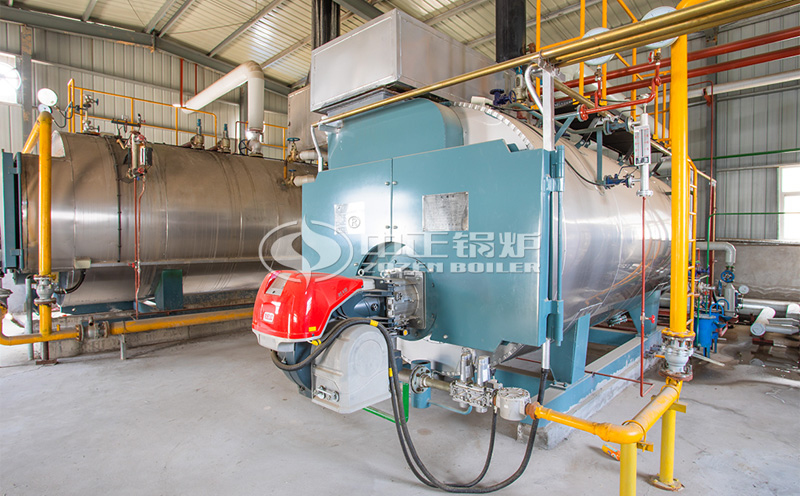 10噸WNS系列冷凝式燃?xì)庹羝仩t項(xiàng)目