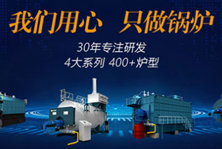 專業(yè)燃?xì)庹羝仩t廠家