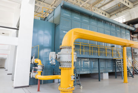 WNS2-1.0-Q燃?xì)庹羝仩t