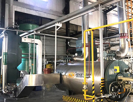 10噸燃?xì)庹羝仩t