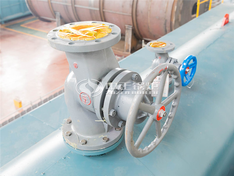 兩噸燃?xì)庹羝仩t哪個(gè)更省錢一點(diǎn)