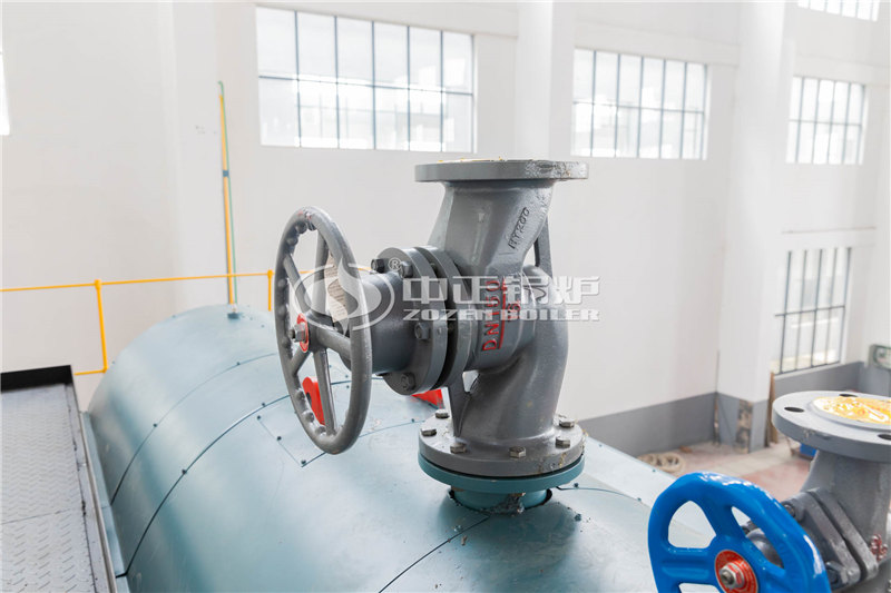 8噸燃?xì)庹羝仩t大廠